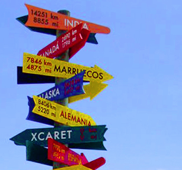 In which direction is your business going?